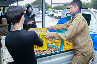 Harvest and transportation to plant